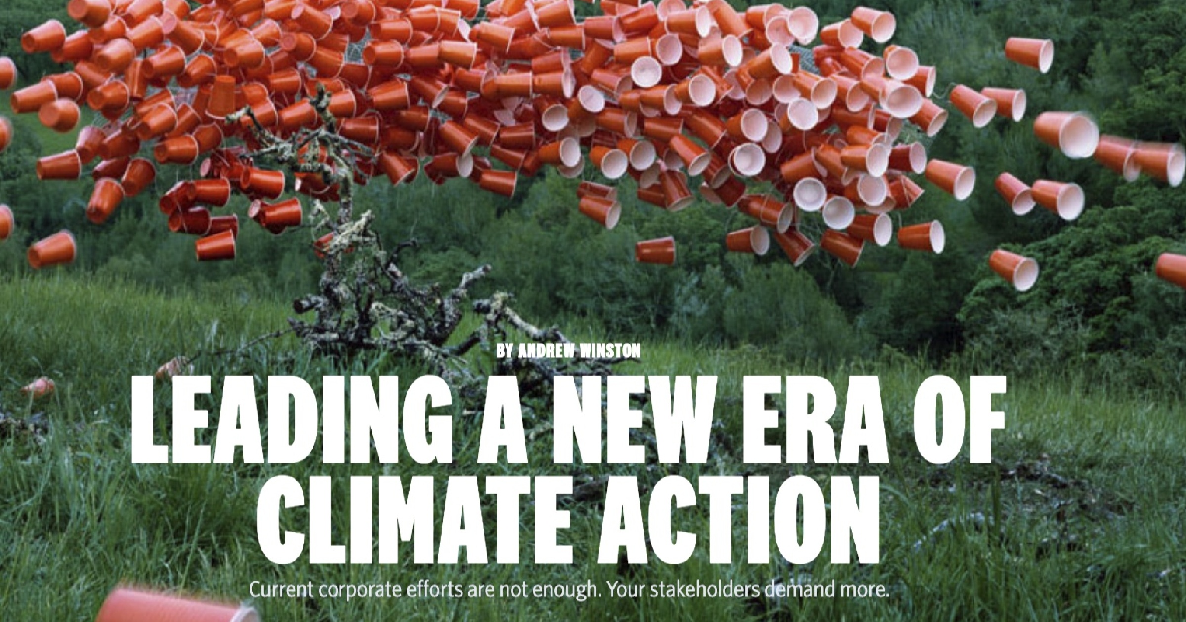 Leading A New Era of Climate Action | Jackson Fine Art